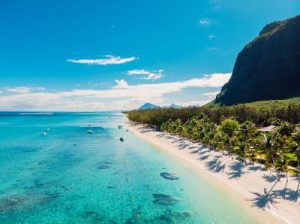 Luxury beach with mountain in Mauritius. Sandy beach with palms and blue ocean. Aerial view